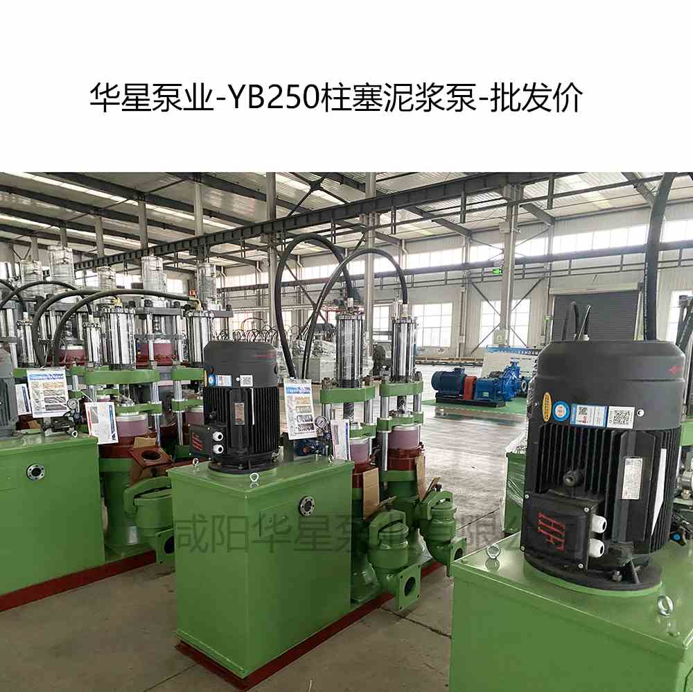 YB250陶瓷柱塞泵產品圖片